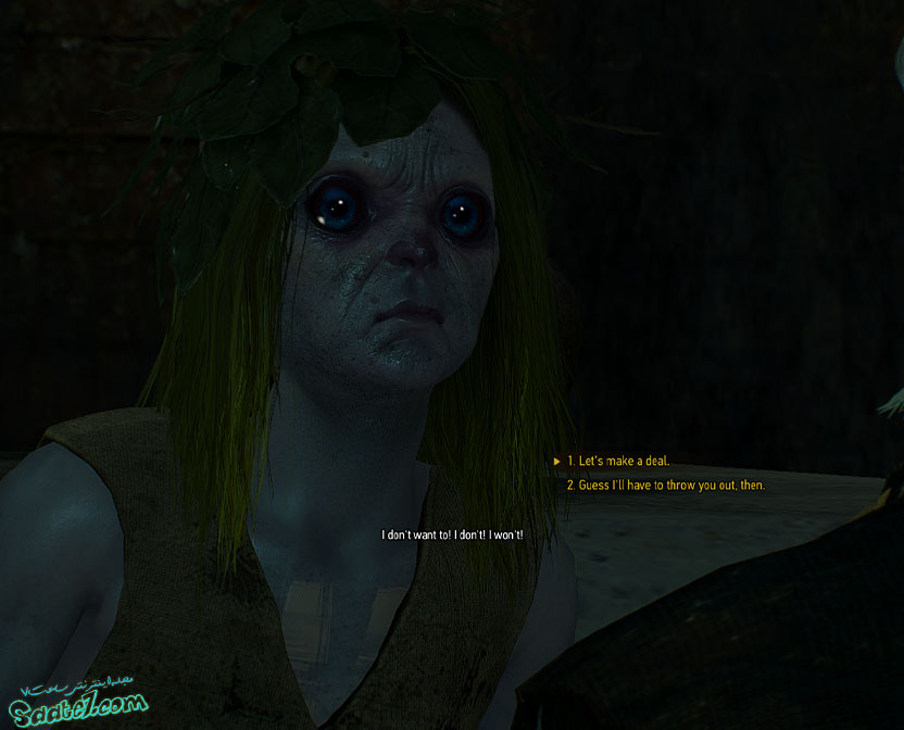 راهنمای مراحل ویچر 3 مرحله ی Novigrad Dreaming