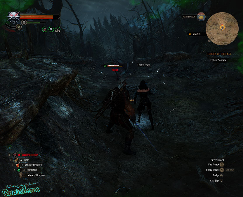 راهنمای The Witcher 3 / مراحل Echoes of the Past و Missing Persons