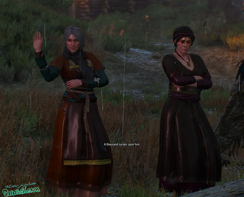 راهنمای The Witcher 3 / مراحل Echoes of the Past و Missing Persons