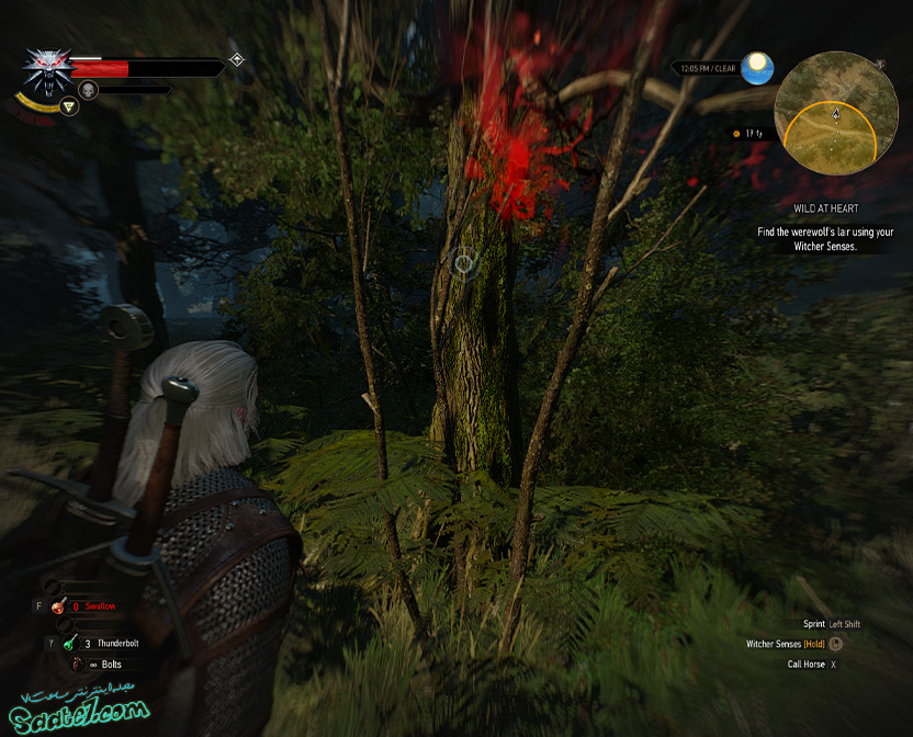 راهنمای The Witcher 3 / ماموریت فرعی Wild at Heart