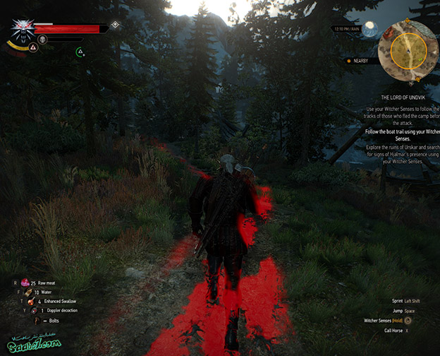 راهنمای The Witcher 3 / ماموریت فرعی The Lord of Undvik