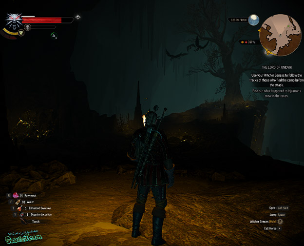 راهنمای The Witcher 3 / ماموریت فرعی The Lord of Undvik