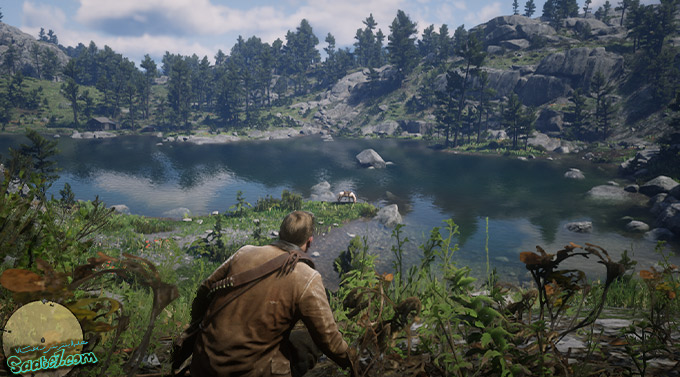 راهنمای بازی Red Dead Redemption 2 / مرحله فرعی: The Veteran