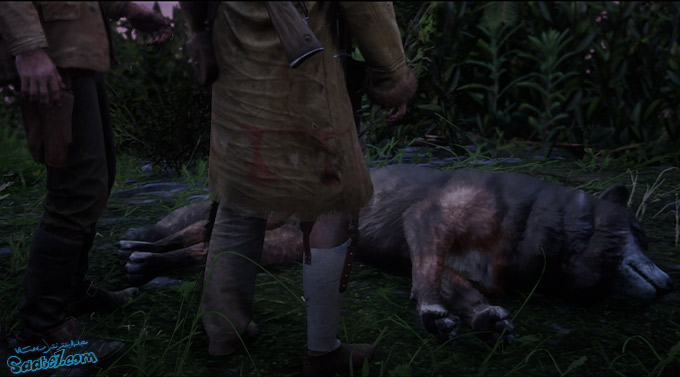 راهنمای بازی Red Dead Redemption 2 / مرحله فرعی: The Veteran