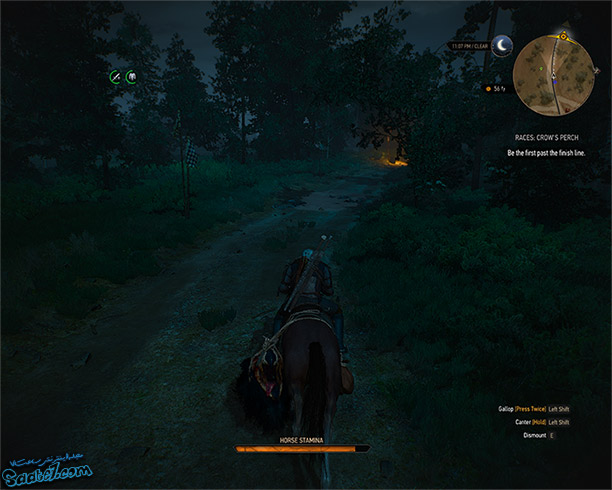 ماموریت فرعی (Races: Crow's Perch)