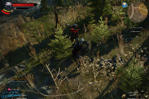 ماموریت فرعی (The Family Blade)