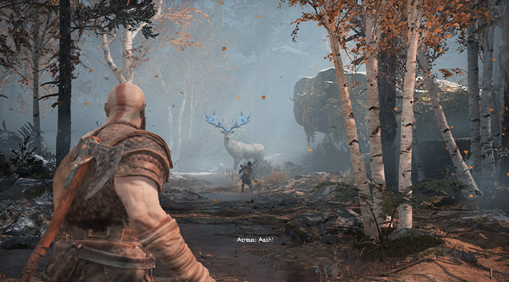 مرحله‌ی اول بازی The Marked Trees