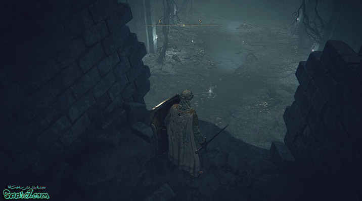 مکان Golden Seedهای منطقه Limgrave بازی ELDEN RING / برای افزایش فلاسک ها