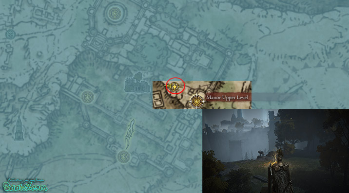 Golden Seed شماره چهار