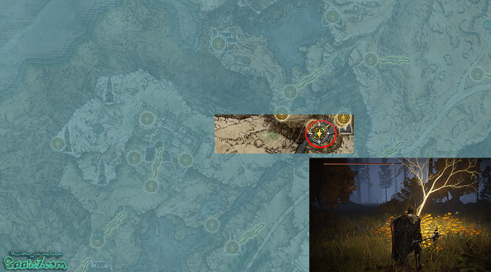 Golden Seed شماره پنجم