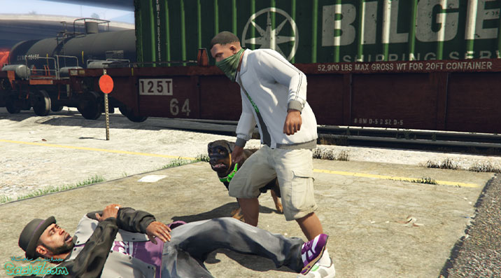 راهنمای بازی GTA 5 / ماموریت Chop