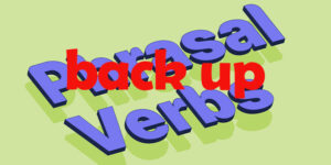 back up (phrasal verbs)