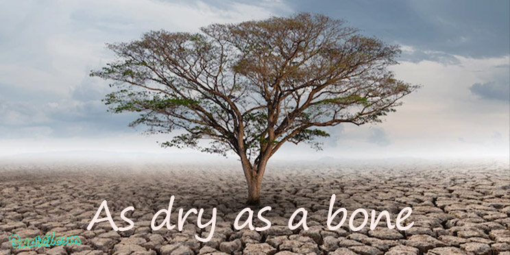 As dry as a bone