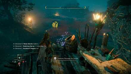 ماموریت فرعی The Blood Choke بازی Horizon Forbidden West