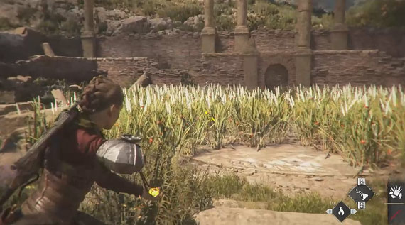 راهنمای بازی A Plague Tale: Requiem / فصل نهم: Tales and Revelations