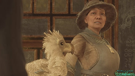 ماموریت اصلی: Beasts Class