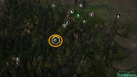 Professor Onai's Assignment