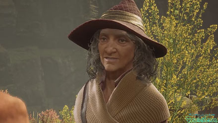 ماموریت فرعی: E-Vase-Ive Manoeuvre