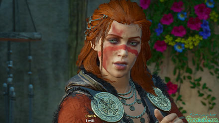 مرحله Flann over Ireland