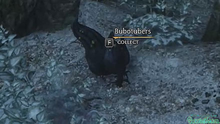 ماموریت فرعی: Spot Removal