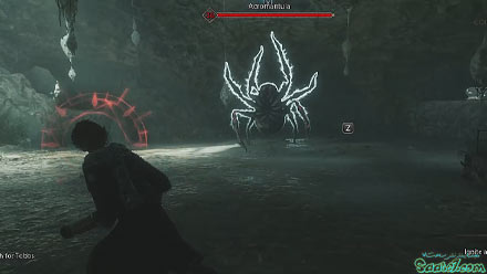 ماموریت فرعی: The Plight of the House-Elf