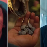 هشت اشتباه بزرگ شخصیت‌های سریال Squid Game