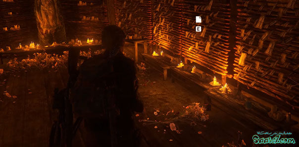 راهنمای بازی The Last of Us 2 / مرحله 38: The Island