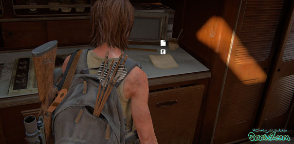 راهنمای بازی The Last of Us 2 / مرحله 43: Pushing Inland