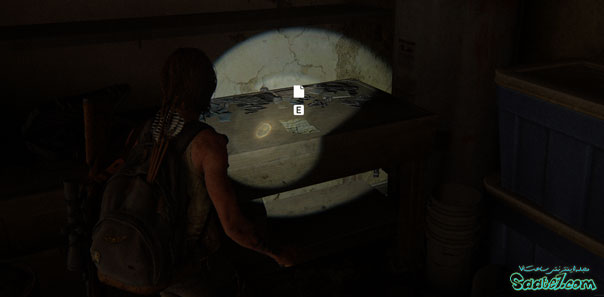 راهنمای بازی The Last of Us 2 / مرحله 43: Pushing Inland