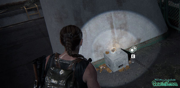 راهنمای بازی The Last of Us 2 / مرحله سی و یک: The Coast